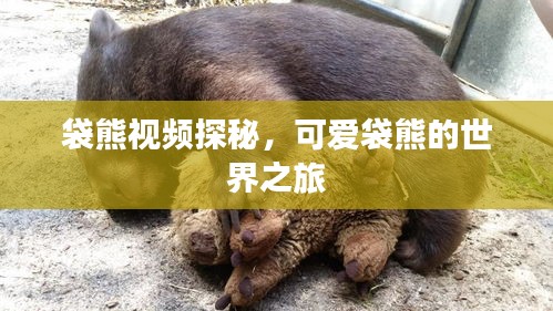 联系我们 第7页