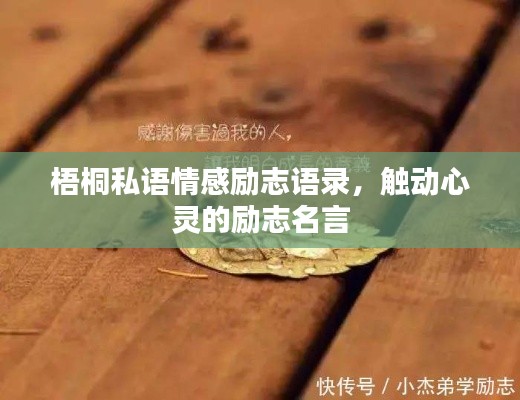 证书查询 第7页