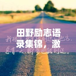 司空见惯