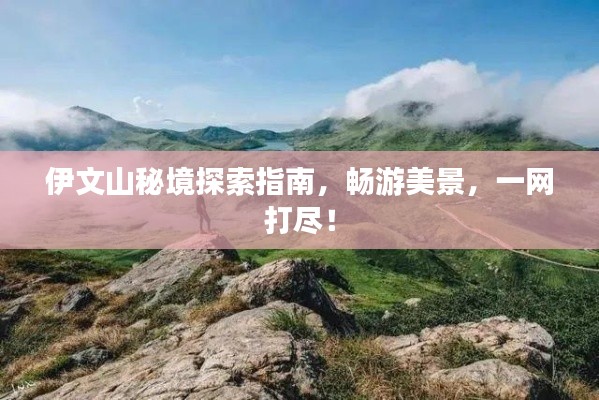 2025年5月16日 第5页