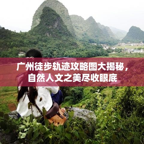 不畏权贵