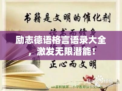随方就圆