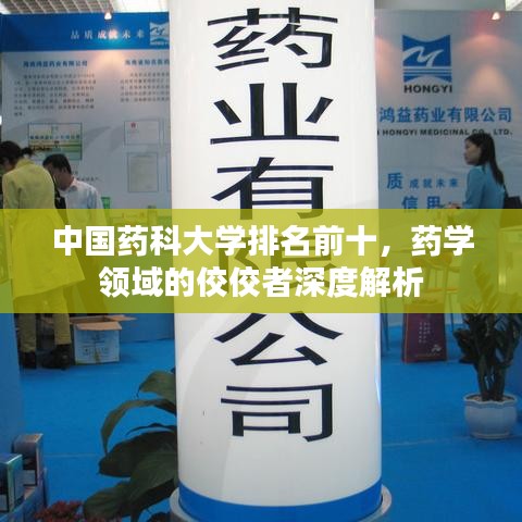 张张屈屈
