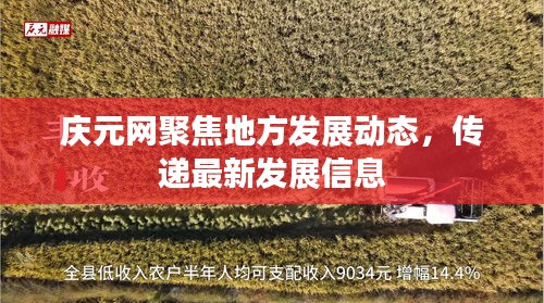 庆元网聚焦地方发展动态，传递最新发展信息