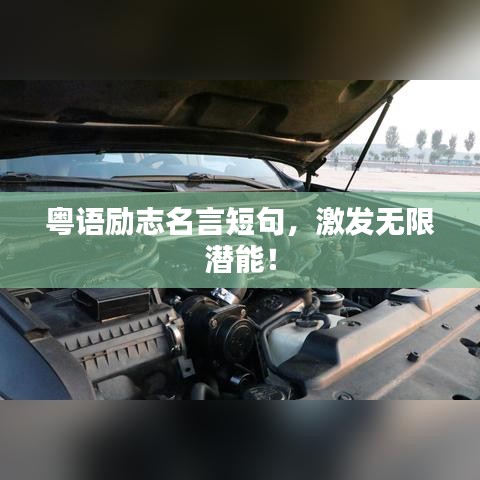 忠心耿耿