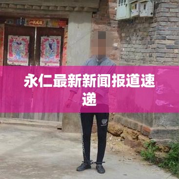 永仁最新新闻报道速递