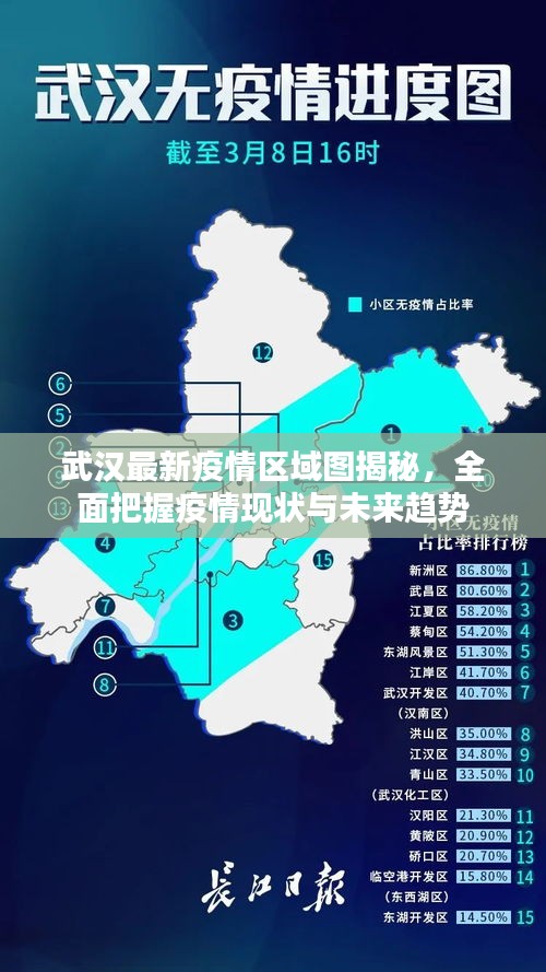 武汉最新疫情区域图揭秘，全面把握疫情现状与未来趋势