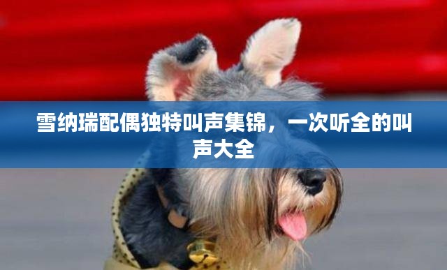雪纳瑞配偶独特叫声集锦，一次听全的叫声大全