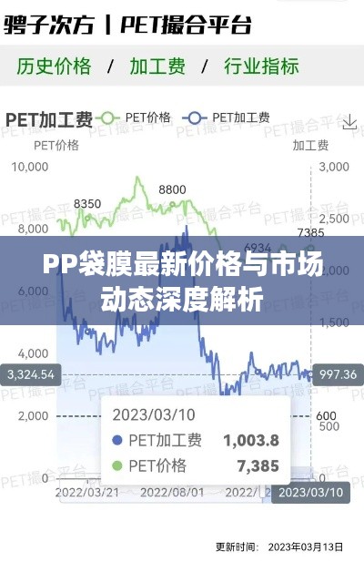 PP袋膜最新价格与市场动态深度解析