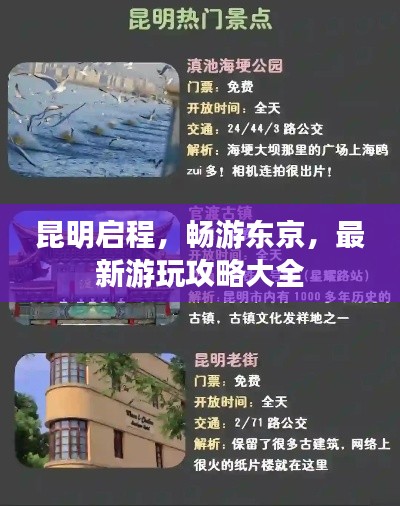 昆明启程，畅游东京，最新游玩攻略大全