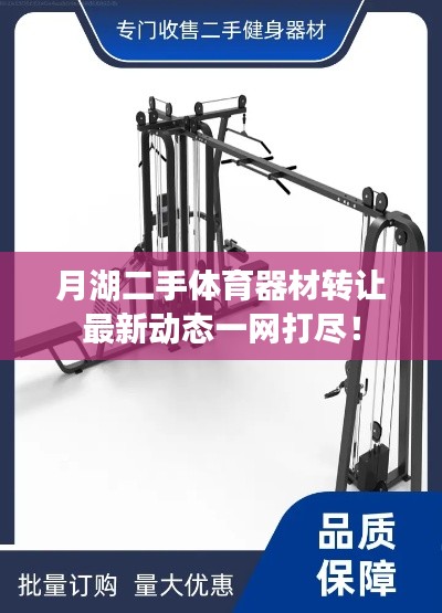 月湖二手体育器材转让最新动态一网打尽！