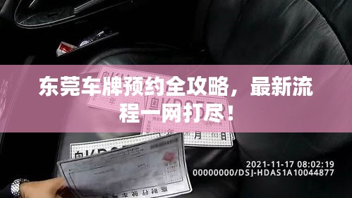 东莞车牌预约全攻略，最新流程一网打尽！