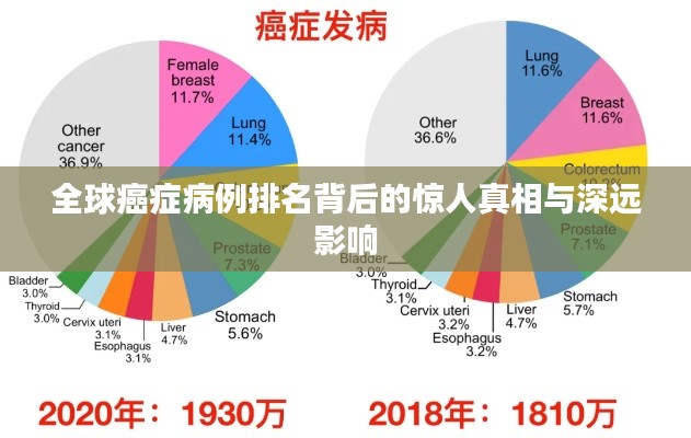 全球癌症病例排名背后的惊人真相与深远影响