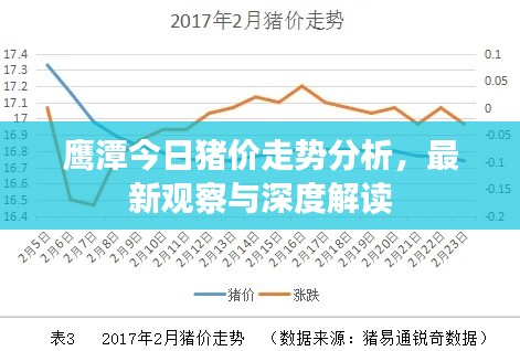鹰潭今日猪价走势分析，最新观察与深度解读