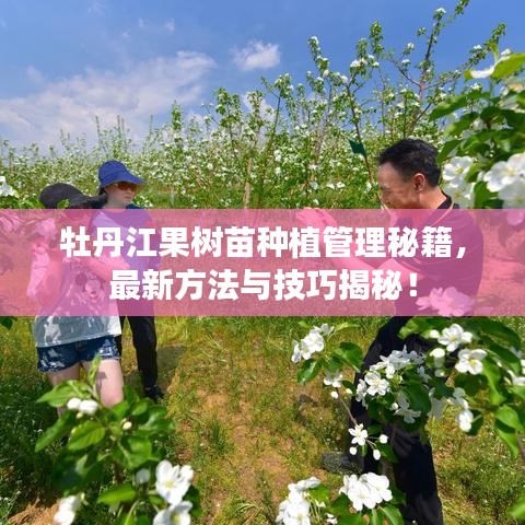 牡丹江果树苗种植管理秘籍，最新方法与技巧揭秘！