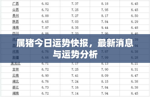 属猪今日运势快报，最新消息与运势分析