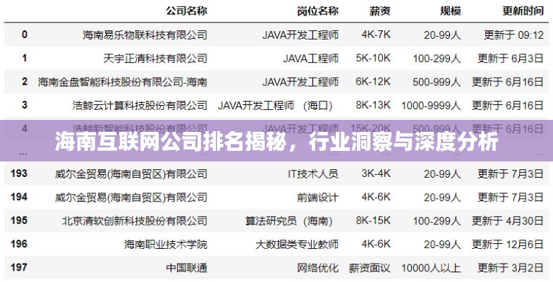 海南互联网公司排名揭秘，行业洞察与深度分析