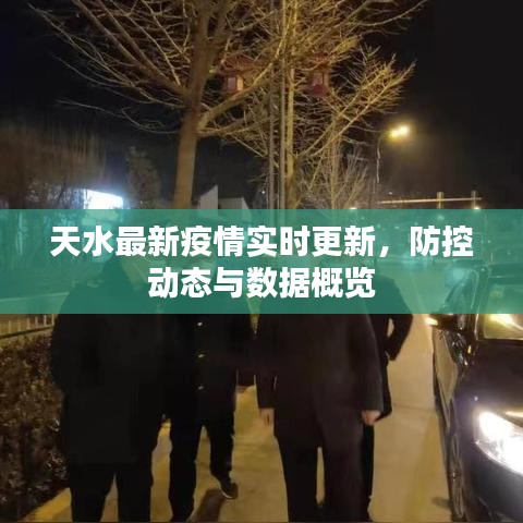 天水最新疫情实时更新，防控动态与数据概览