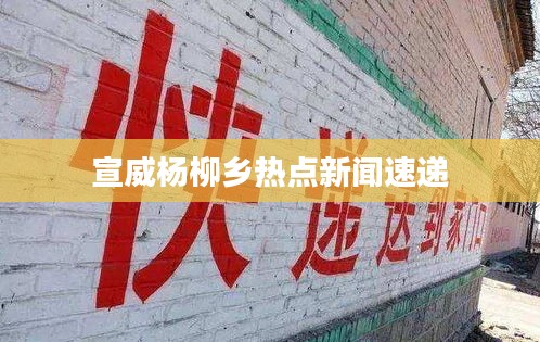 宣威杨柳乡热点新闻速递