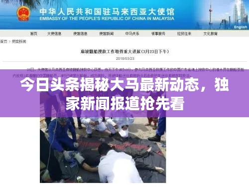 今日头条揭秘大马最新动态，独家新闻报道抢先看