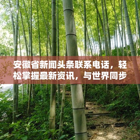 安徽省新闻头条联系电话，轻松掌握最新资讯，与世界同步前行