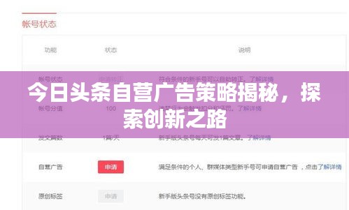 今日头条自营广告策略揭秘，探索创新之路