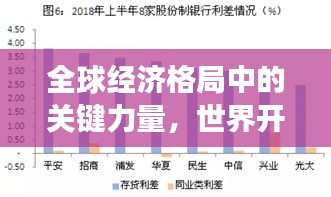 全球经济格局中的关键力量，世界开发银行的排名与角色解析