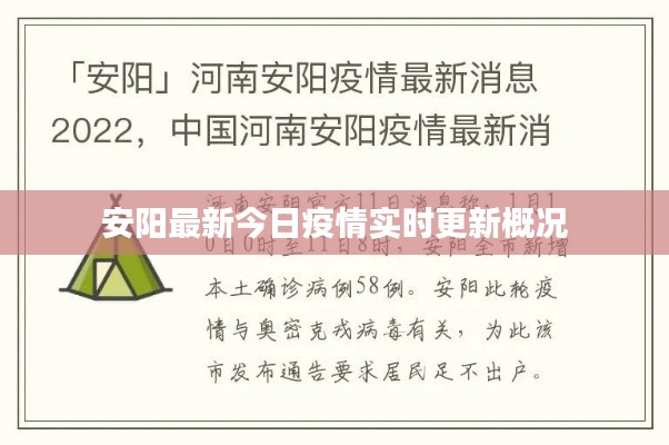 安阳最新今日疫情实时更新概况