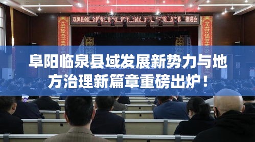阜阳临泉县域发展新势力与地方治理新篇章重磅出炉！