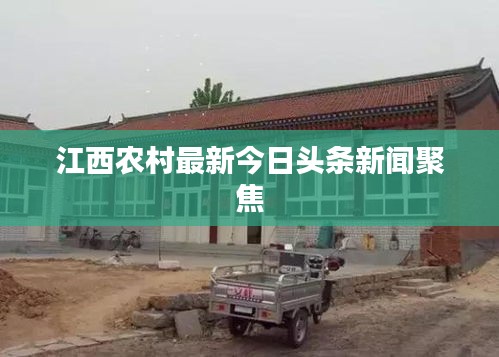 江西农村最新今日头条新闻聚焦