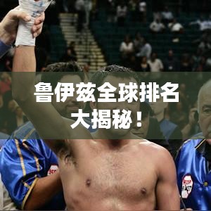 鲁伊兹全球排名大揭秘！