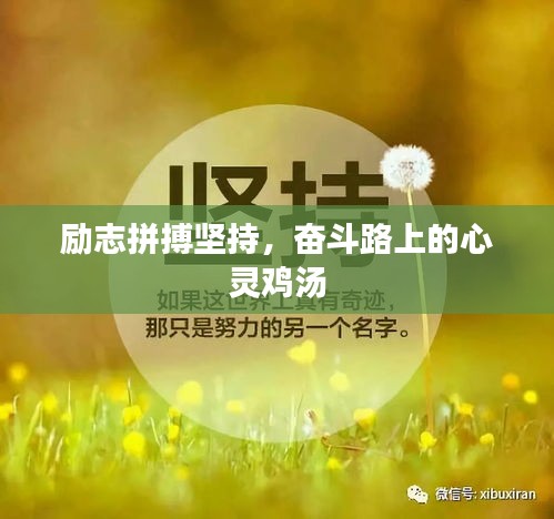 励志拼搏坚持，奋斗路上的心灵鸡汤