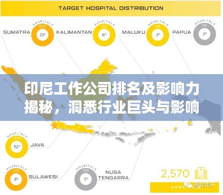 印尼工作公司排名及影响力揭秘，洞悉行业巨头与影响力版图！