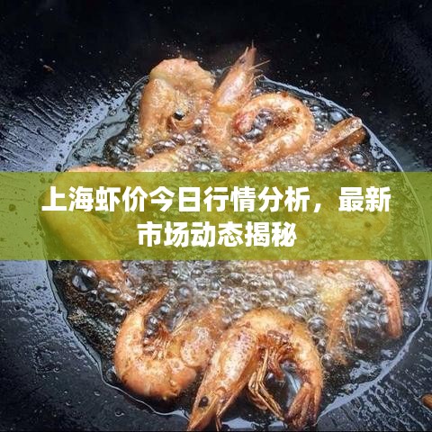 上海虾价今日行情分析，最新市场动态揭秘