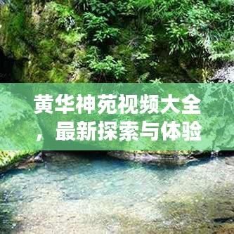 黄华神苑视频大全，最新探索与体验，免费下载！