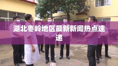 湖北枣岭地区最新新闻热点速递