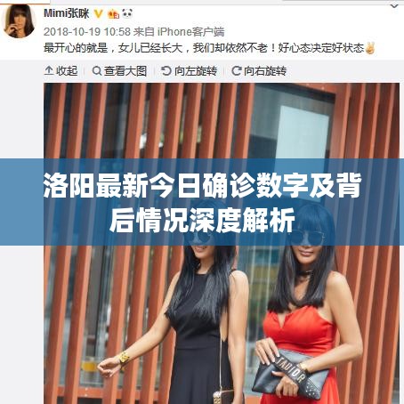 洛阳最新今日确诊数字及背后情况深度解析