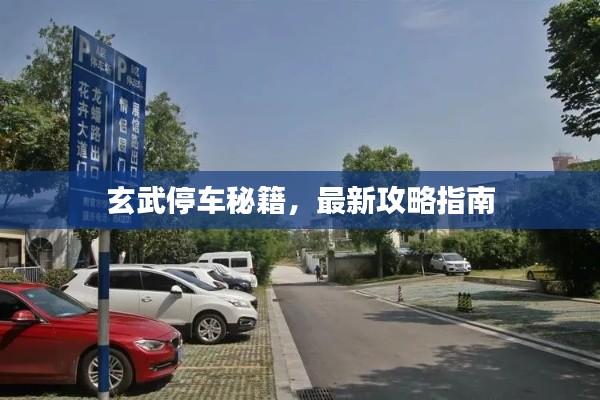 玄武停车秘籍，最新攻略指南