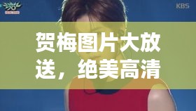 贺梅图片大放送，绝美高清美图，一键百度全掌握！