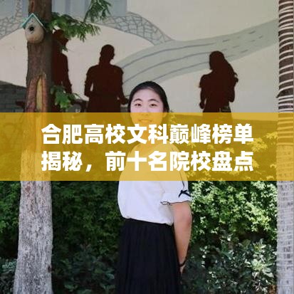 合肥高校文科巅峰榜单揭秘，前十名院校盘点！