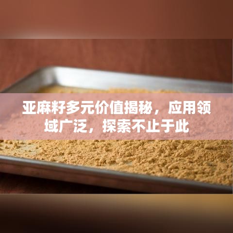 亚麻籽多元价值揭秘，应用领域广泛，探索不止于此