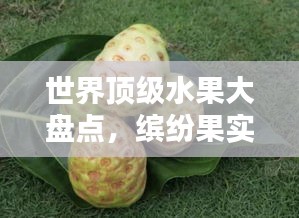 世界顶级水果大盘点，缤纷果实的魅力榜单