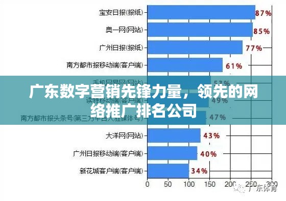 广东数字营销先锋力量，领先的网络推广排名公司
