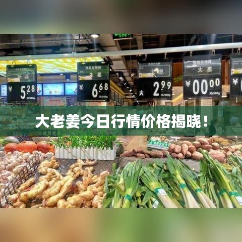 大老姜今日行情价格揭晓！