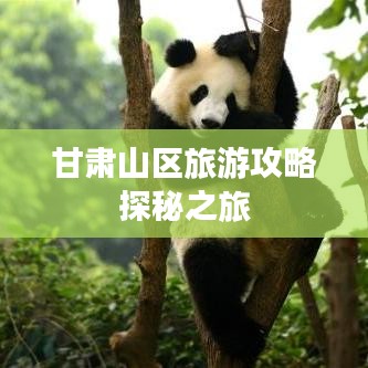 甘肃山区旅游攻略探秘之旅