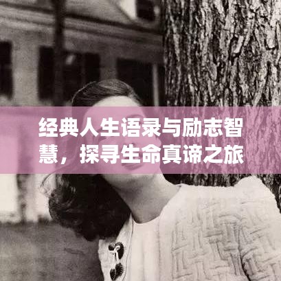 经典人生语录与励志智慧，探寻生命真谛之旅