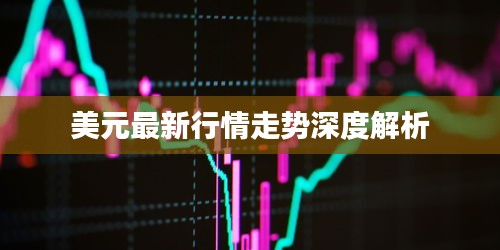 美元最新行情走势深度解析