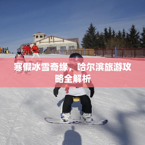 寒假冰雪奇缘，哈尔滨旅游攻略全解析