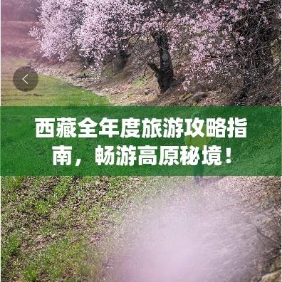 西藏全年度旅游攻略指南，畅游高原秘境！