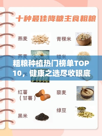 粗粮种植热门榜单TOP10，健康之选尽收眼底